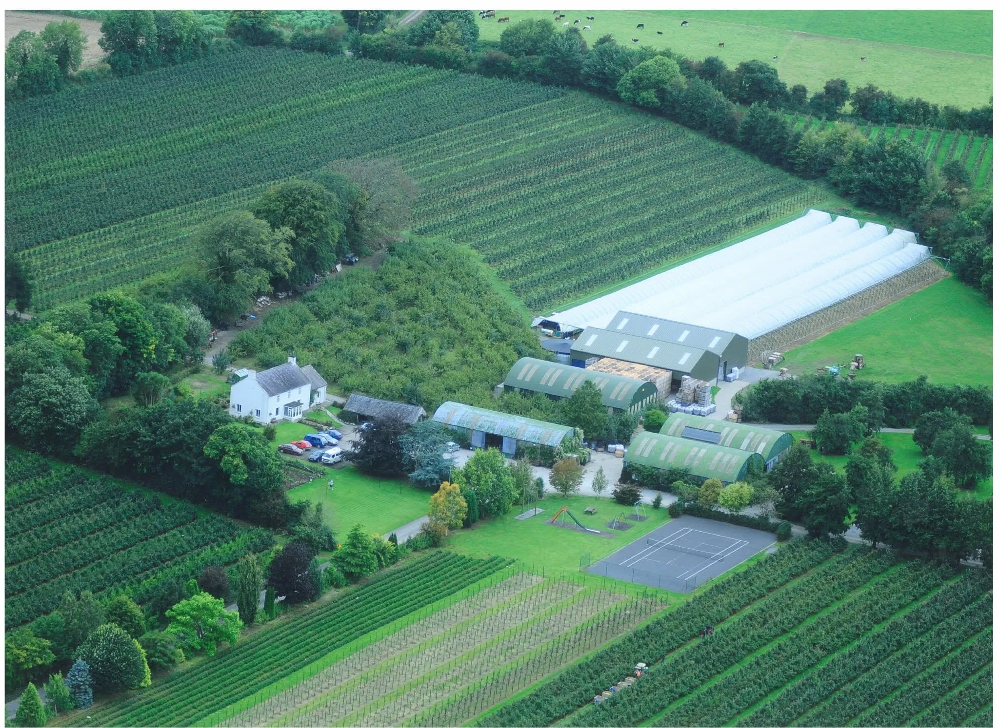 Aerial view of The Apple Farm: the house, the barns and the orchards around them